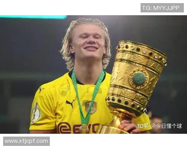 哈兰德能否在本赛季超越英超单赛季进球纪录的挑战分析